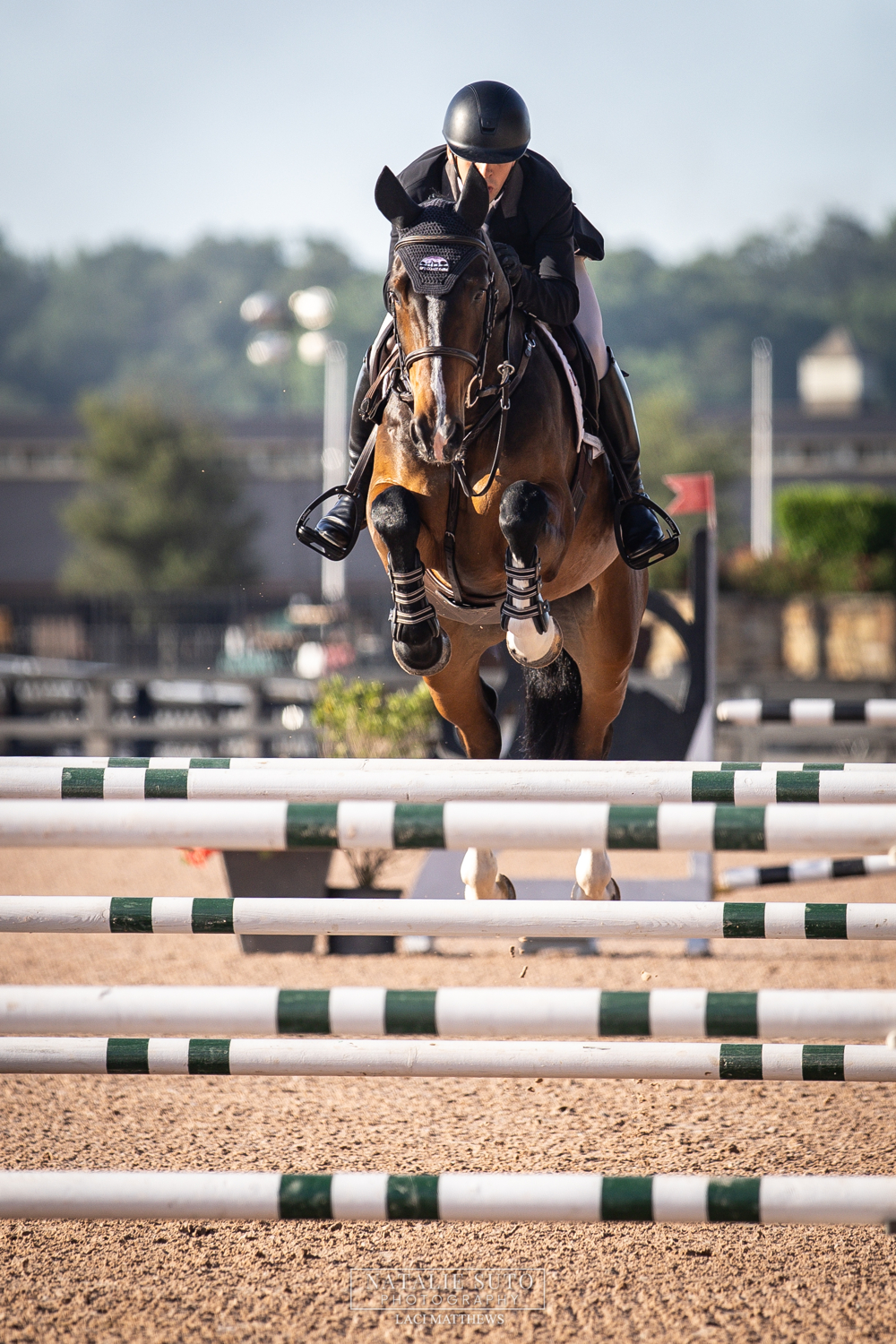 Garth SCF NA2019 16.1 handWarmblood GeldingKentucky, USASale 70k - 100kLease $20 - 39k USD