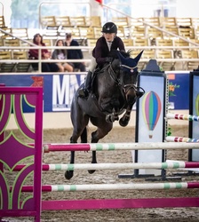 Clintina Oldenburg Jumper photo 1