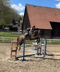 Charlie Holsteiner Jumper photo 4