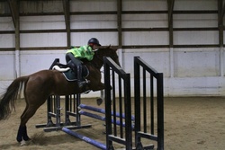 Mr. Jones TB Hunter photo 4