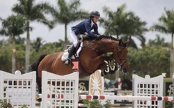 Lui Hanoverian Jumper photo 1