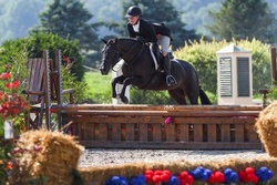 A Knack For Bling Welsh Pony Hunter photo 1