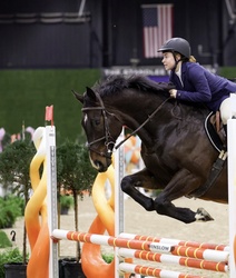 War Marshall TB Jumper photo 7