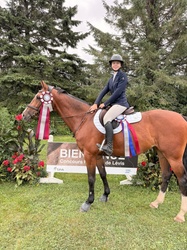 Beaulieu Springbreak Warmblood Jumper photo 3