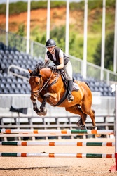 Conte Bellini Warmblood Jumper photo 1