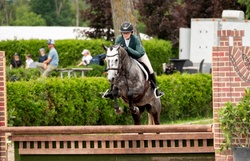 REMEMBER TOTO'S MAIL German Riding Pony Hunter photo 3