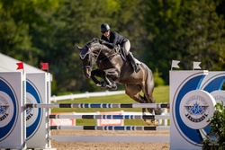 Legato Holsteiner Jumper photo 1