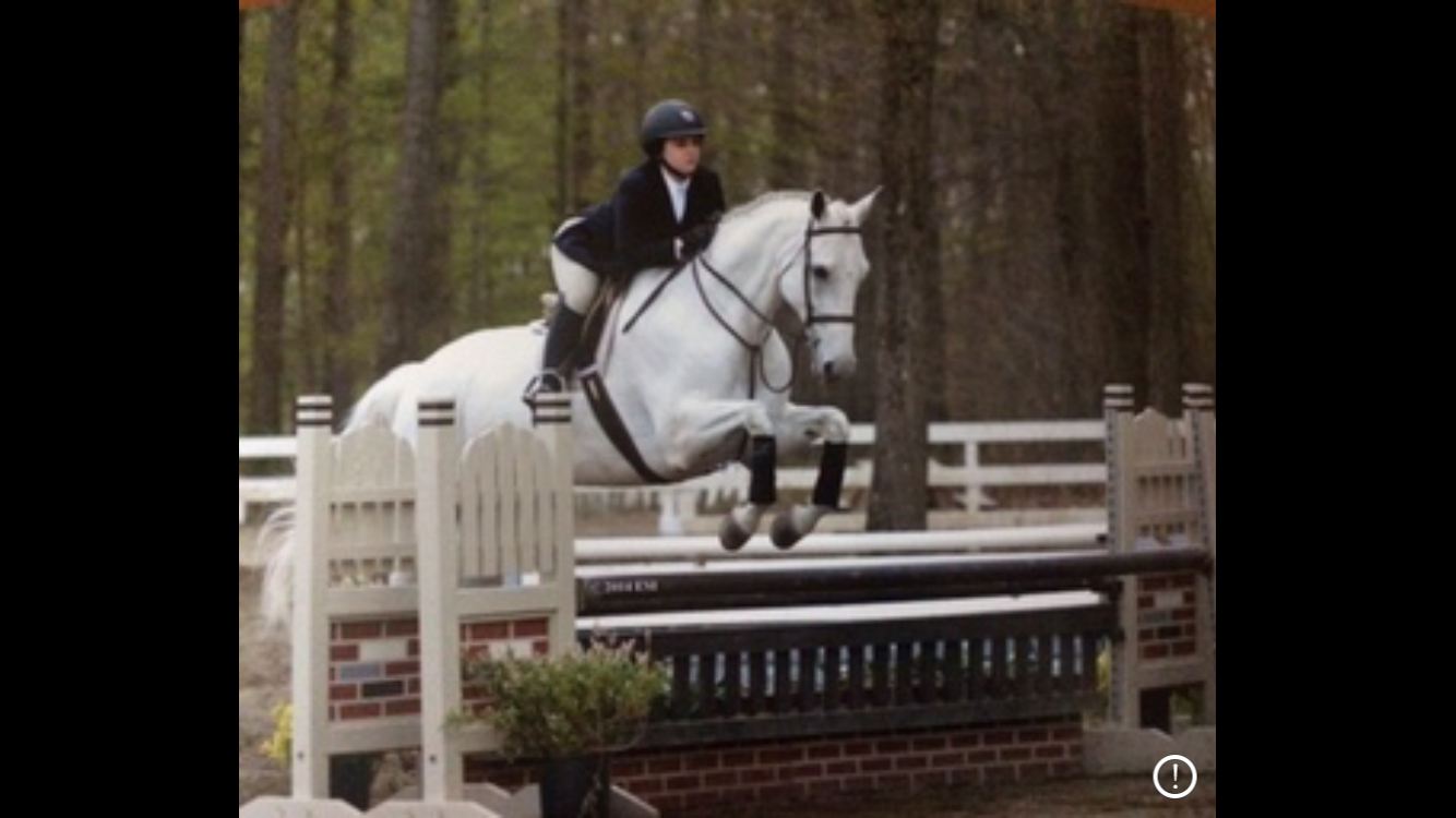 Rio Appendix Quarter Horse Jumper