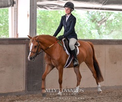 Mulberry Magic “Boba” Welsh Cross Jumper photo 7