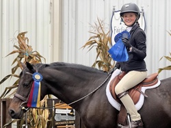 Lancelot K “Lance” Danish Warmblood Hunter photo 1