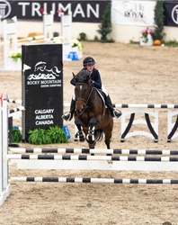 Jack Dutch Warmblood Equitation photo 5