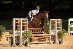 Make It Rain Dutch Warmblood Hunter photo 2