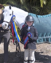 Boca’s Blue Nile Welsh Pony Hunter photo 4