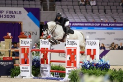 Berlin Zangersheide Jumper photo 2