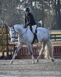Esoteric Hanoverian Hunter photo 3