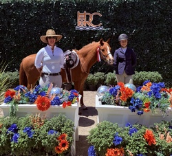 Mulberry Magic “Boba” Welsh Cross Jumper photo 6