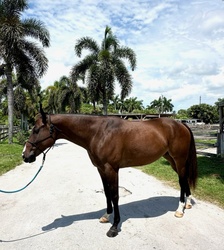Oscar Appendix Hunter photo 4