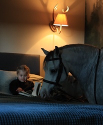 Zazou Other Breed Hunter photo 2