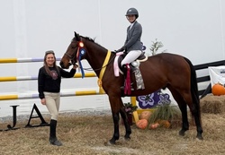 Braecrest Diamo West Warmblood Hunter photo 2