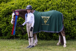 Cane Creek's Oopsie Daisy Welsh Cross Hunter photo 6