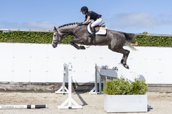On Fire Oldenburg Jumper photo 1