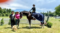 Rio's Grand Finale Canadian Sport Horse Hunter photo 3