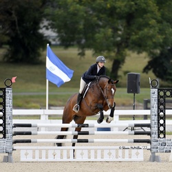 Monaco Dutch Warmblood Equitation photo 4