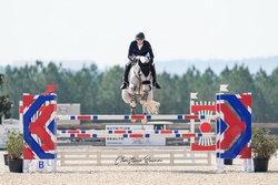Cascade Hanoverian Equitation photo 3