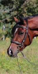 Brightside Welsh Cross Jumper photo 5