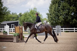 RS Sabrina W Canadian Warmblood Equitation photo 1