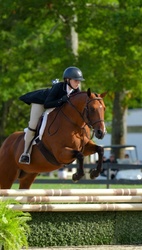 Amor De Tortuga Other Breed Hunter photo 1