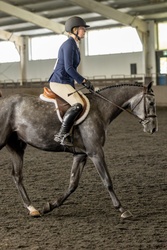 Always Pajama Day Welsh Cross Hunter photo 3