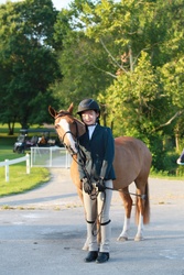 Nemo Welsh Cross Hunter photo 3