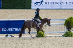 Cane Creek's Oopsie Daisy Welsh Cross Hunter photo 8