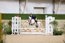 Fettuccine Welsh Cross Jumper photo 1