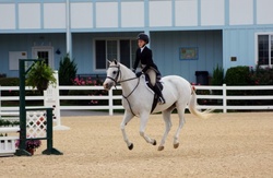 Secretly Welsh Cross Hunter photo 5