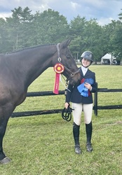 CMS Lowkey Holsteiner Equitation photo 2