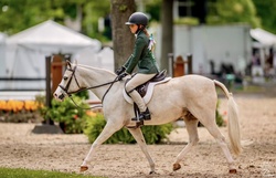Arnaby Cassanova Welsh Cross Jumper photo 3