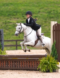 Cross Creek White Water Welsh Pony Hunter photo 8