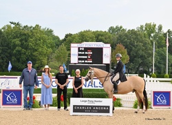 Stateside TM Holsteiner Hunter photo 1