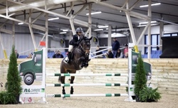 Ultrachic Warmblood Jumper photo 3