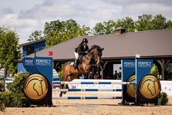 Ultrachic Warmblood Jumper photo 2