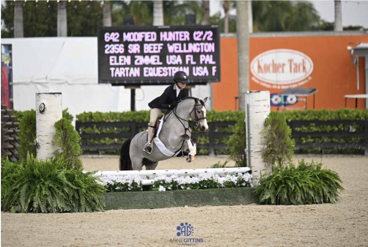 Sir Beef Wellington TE