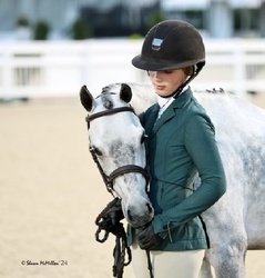 Val Welsh Cross Hunter photo 1