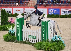 Cicerano Z Zangersheide Equitation photo 1