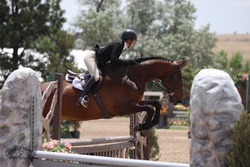Chatel de Mazin Warmblood Equitation photo 2