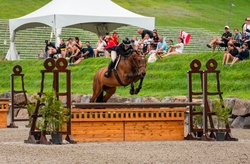 Athena Canadian Warmblood Hunter photo 5