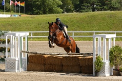 Photobomb Oldenburg Hunter photo 2