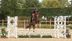 Sergio Crossbred Hunter photo 1