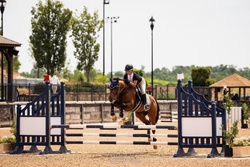AVIATOR German Riding Pony Jumper photo 8